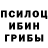 Псилоцибиновые грибы Cubensis Centrum Penal